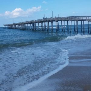 Meet your Posher, Carol